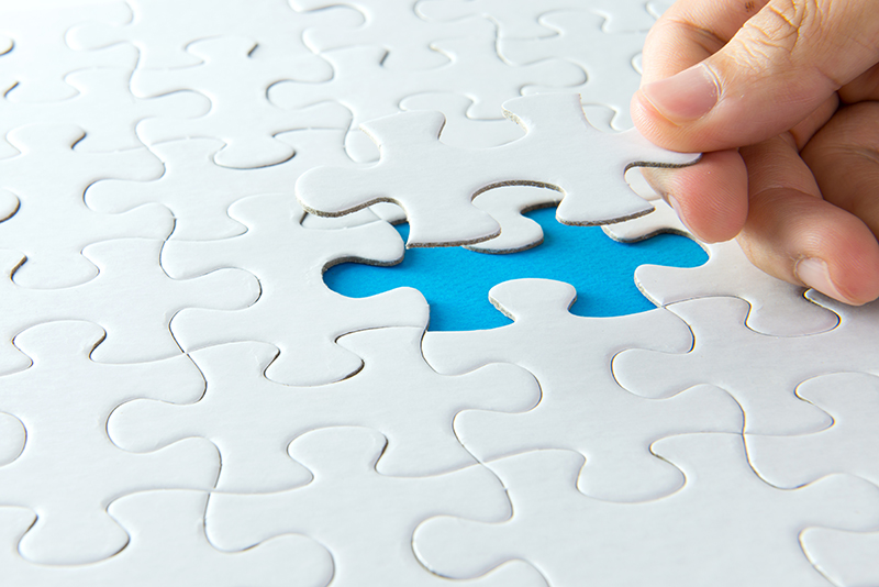Choosing a niche Choosing a niche