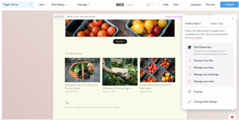 Wix ADI Review - make a website fast - wix