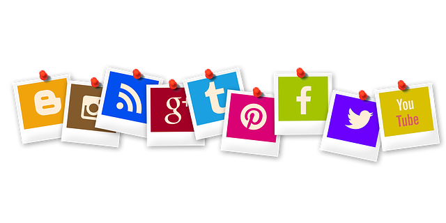 Sociall MEdia Shares Social Media Shares