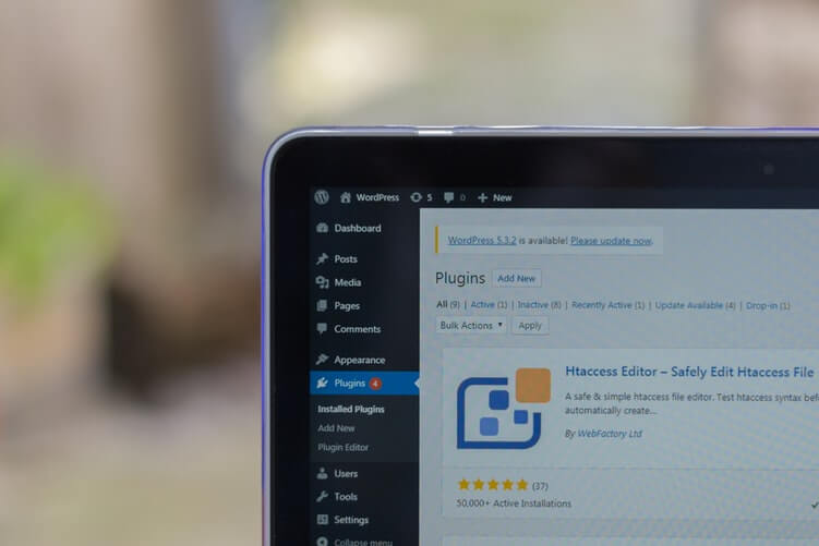 WP plugin WP plugin