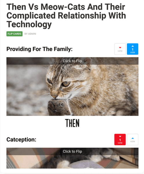 screenshot-mythemeshop.com-2020.11.13-00-44-34 (1)